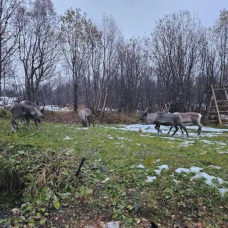 Appartement 1 Bedroom With Parking Kvaloya